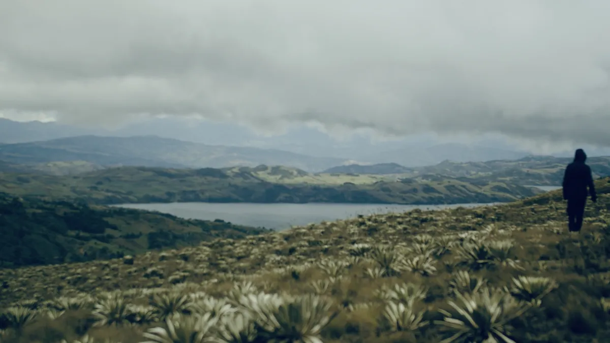 filma en originell naturvideo