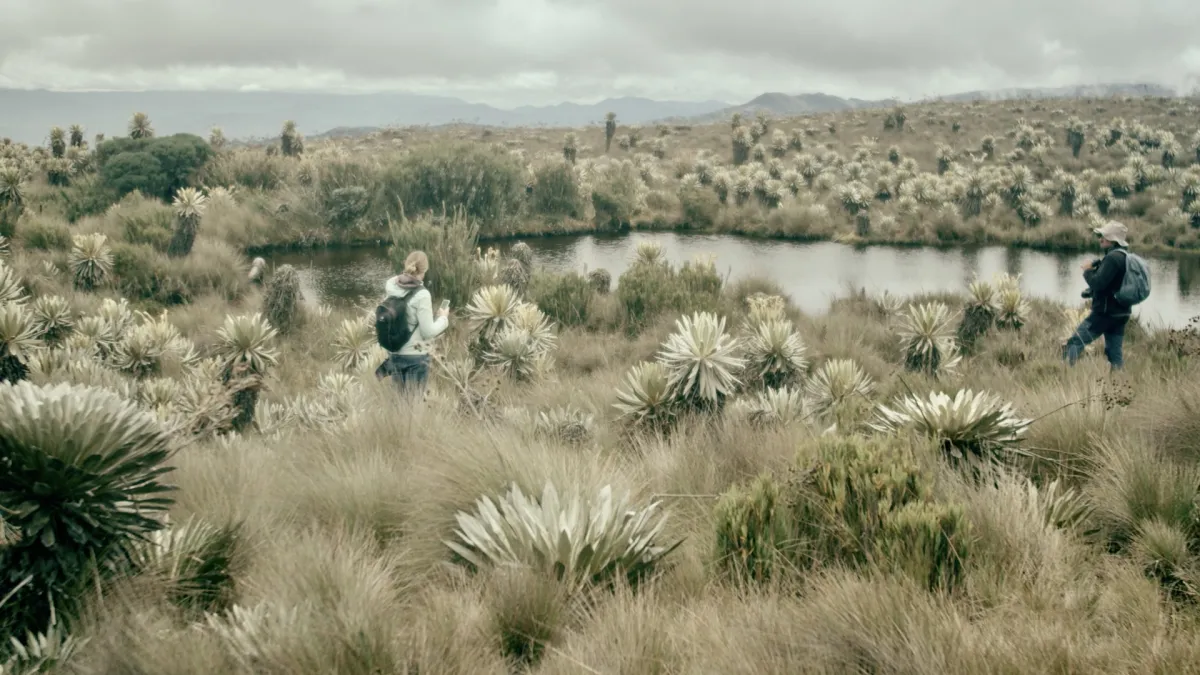 filma en originell naturvideo